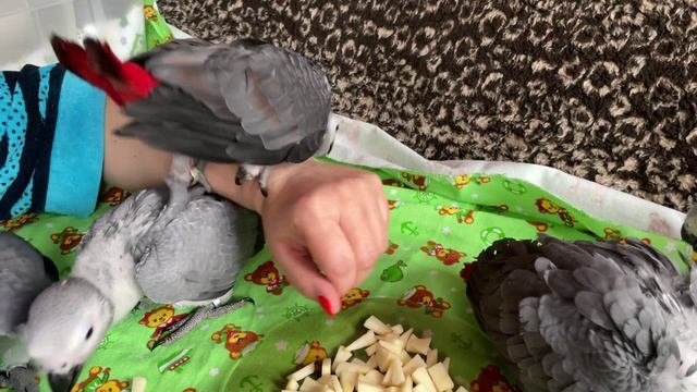 Учимся быть самостоятельными