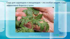 Как прочистить канализацию, устранить засор в раковине или в ванной. Удивительные свойства соды
