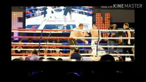 Бой Виталий Минаков и Фабиан Шернер