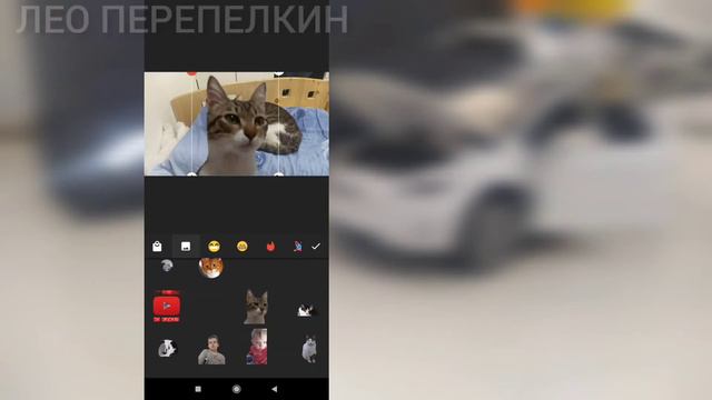 новая функция Inshot! Часть 1! #ЛЕОПЕРЕПЕЛКИН смотреть онлайн