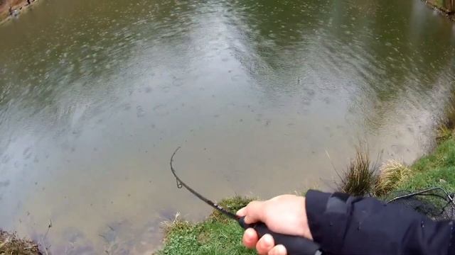 Ловля прудовой форели/Мероприятие от производителя немецкого силикона и МЫ! смотреть онлайн