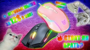 💥 БЮДЖЕТНЫЕ ИГРОВЫЕ МЫШИ ЗА 12$ С RGB!🔥 ЧТО ИЗ СЕБЯ ПРЕДСТАВЛЯЮТ И СТОИТ ЛИ БРАТЬ? 💥