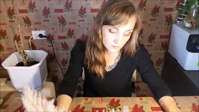 Флорист как все начиналось смотреть онлайн