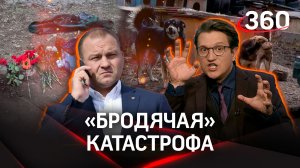 Собаки загрызли мальчика, а мэру Оренбурга аплодируют депутаты: «танцы на костях»