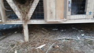 Домик для кроликов