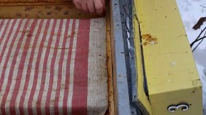 Канди для пчел. Подкормка пчел зимой. Проверка.