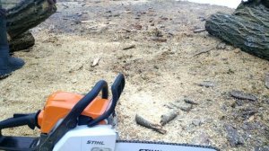 Бензопила STIHL MS 180? Заготовка дров. Акация