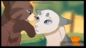 Коты воители клип "" Худший друг"" "заказ"