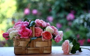 С Днем Рождения! Самое Красивое Видео Поздравление!