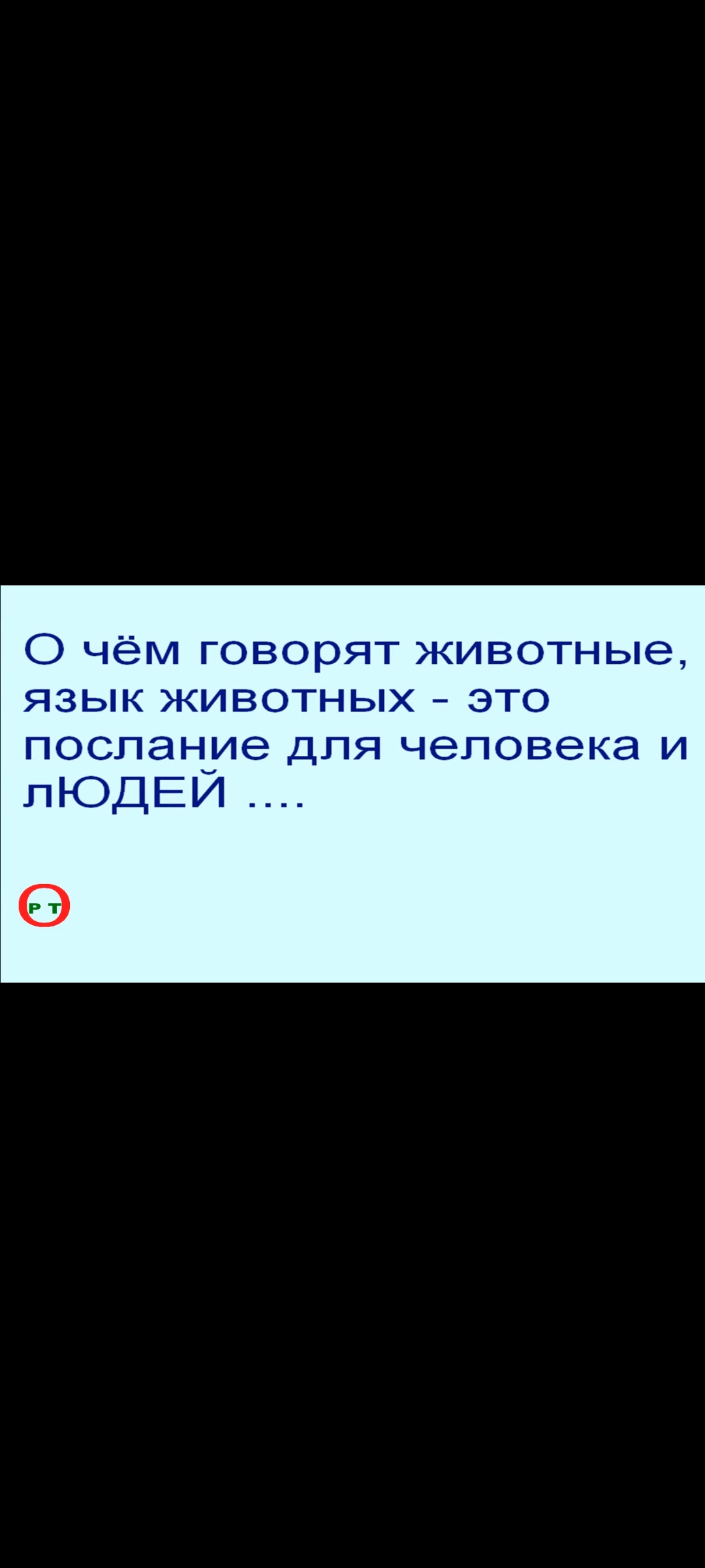О чём говорят животные. Видео 83.