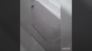 Лайфхак. Как убрать катышки с пальто. Лучший способ ??