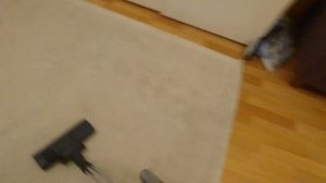 Dyson Cinetic Big Ball parquet 2