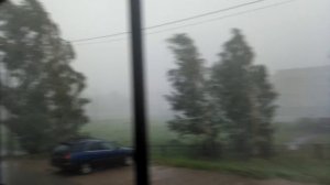 Ураган в Коряжме повалил деревья