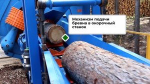 Линия окорки бревна, окорочная линия