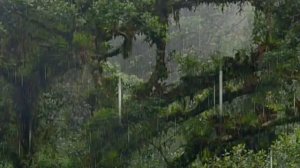 1 час Гром Дождь Звуки природы для расслабления и медитации, сна