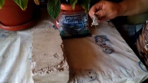 как избавиться от мышей