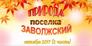 Природа поселка ЗАВОЛЖСКИЙ (2 часть)