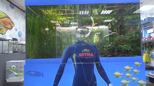 #хобби #животные #продажа #аквариумистика красивый аквариум такой необычной формы. 2 июня 2023 смотреть онлайн