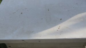 8 октября лечение пчёл муравьиной кислотой.