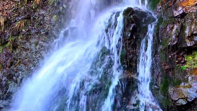 Музыка для снятия стрессов успокоения сна