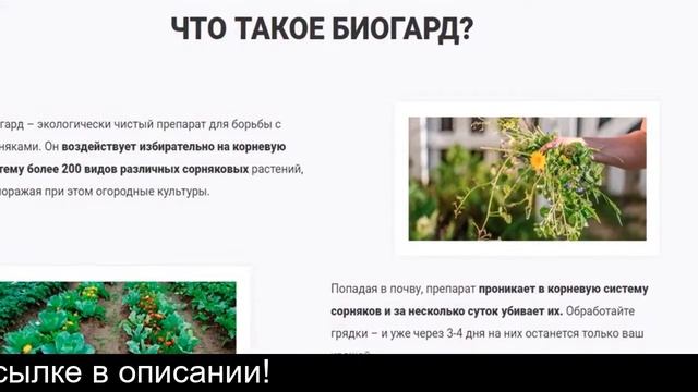 Средство от сорняков БиоГард отзывы смотреть онлайн