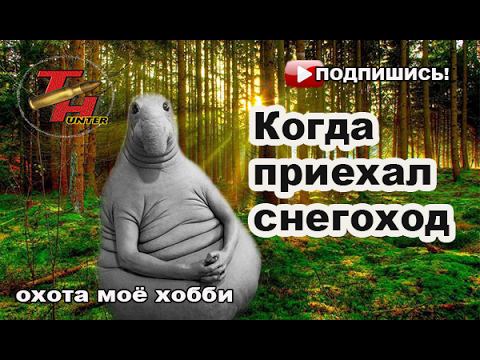 К нам зашли волки. Такая вот охота... смотреть онлайн