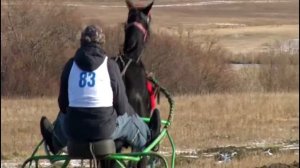 КОННЫЕ СКАЧКИ