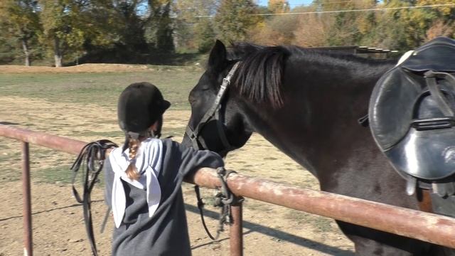 Конный дом «Арион» в Севастополе. Сколько стоит одна лошадиная сила? смотреть онлайн