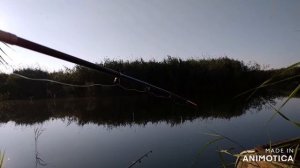 Рыбалка. Река Карповка