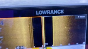 ЭХОЛОТ LOWRANCE HDS 9 LIVE - КАК ВИДИТ РЫБУ