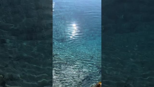 Скалы на голубом озере ? #уфа #голубоеозеро #башкортостан #shorts