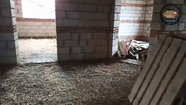 Большой одноэтажный дом с четыремя спальнями и большим холом с выходом во двор. Мастер Кладки-95. смотреть онлайн