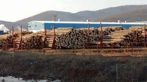 Пластун Тернейлес база хранения и переработки.