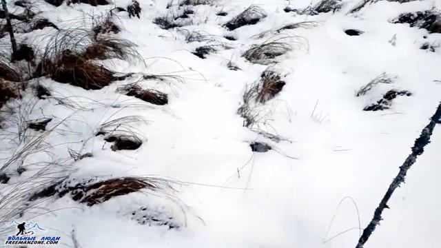ЗИМОВЬЕ В ЛЕСУ. ПОИСК МЕСТА ПОД ШАЛАШ. Жилье в лесу на длительный срок. Бушкрафт. Выживание.