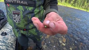 Самая ЛУЧШАЯ и ПРОСТАЯ СНАСТЬ на ХАРИУСА, " БОМБАРДА"!!! Как СОБРАТЬ, как СДЕЛАТЬ, как ПОЙМАТЬ!!!
