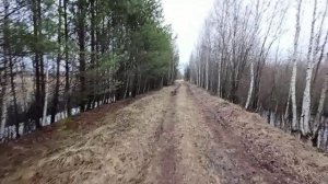 Приберём наш лес(планету) от мусора