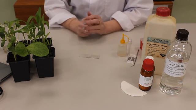 2 поток "Архитектура проводящих систем цветковых растений" смотреть онлайн