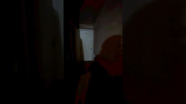 Дизайнерский ремонт дома в поселке Красные Челны