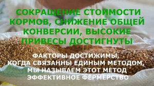 БВМК для финишных комбикормов птицы (3-е представительство)