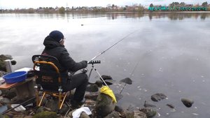 Болонская ловля. Ловля подлещика. Ловля плотвы. Поздняя осень. Закрытие сезона 2018 года.