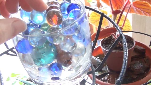 Микроклимат для комнатных растений смотреть онлайн