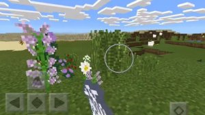 Размножение цветов | minecraft