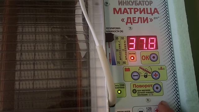Обзор инкубатора матрица дели)) просто блиц! Как настроить этот инкубатор? Из чего же он сделан?