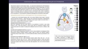 Дизайн Человека - Расшифровка рейв-карты (полная версия)