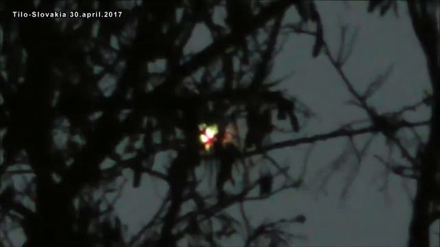 Нло в Словакии,в хорошем качестве смотреть онлайн