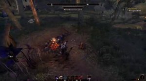TESO#Каджит#За СКУМУ#Game#PC#MMO#
