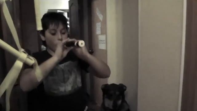 Музыкальный Зайка Alilo (песенка про звездочку) смотреть онлайн