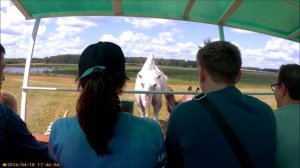 Влог. Страусиная ферма "Омский cтраус", Усть-Заостровка. 07.07.19