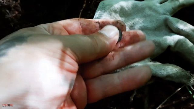 #462 Добиваю лесную дорожку. Скоро перейду на другую. Коп с Garrett Apex смотреть онлайн