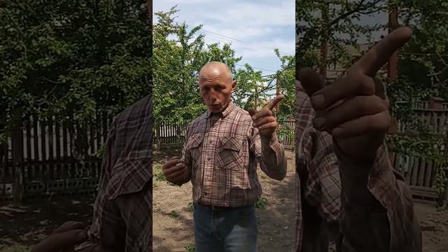Почему 